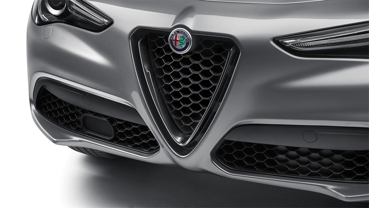 Front Grille Insert - Gloss Miron Grey
